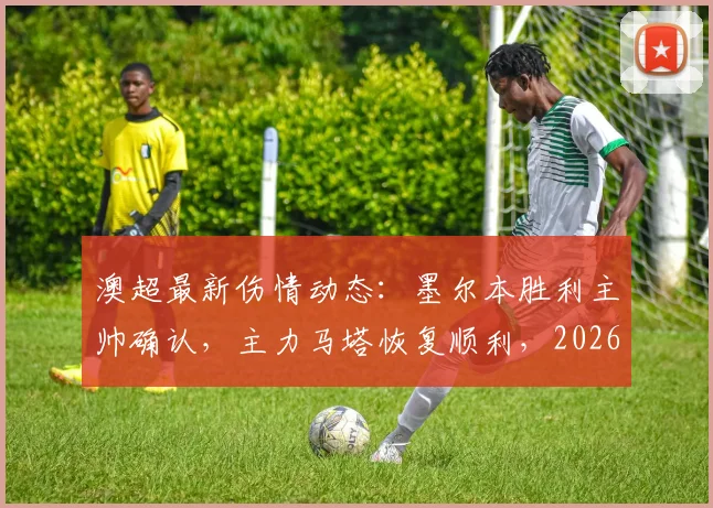 澳超最新伤情动态:墨尔本胜利主帅确认,主力马塔恢复顺利,2026赛季常规赛末轮有望复出,球队阵容迎利好
